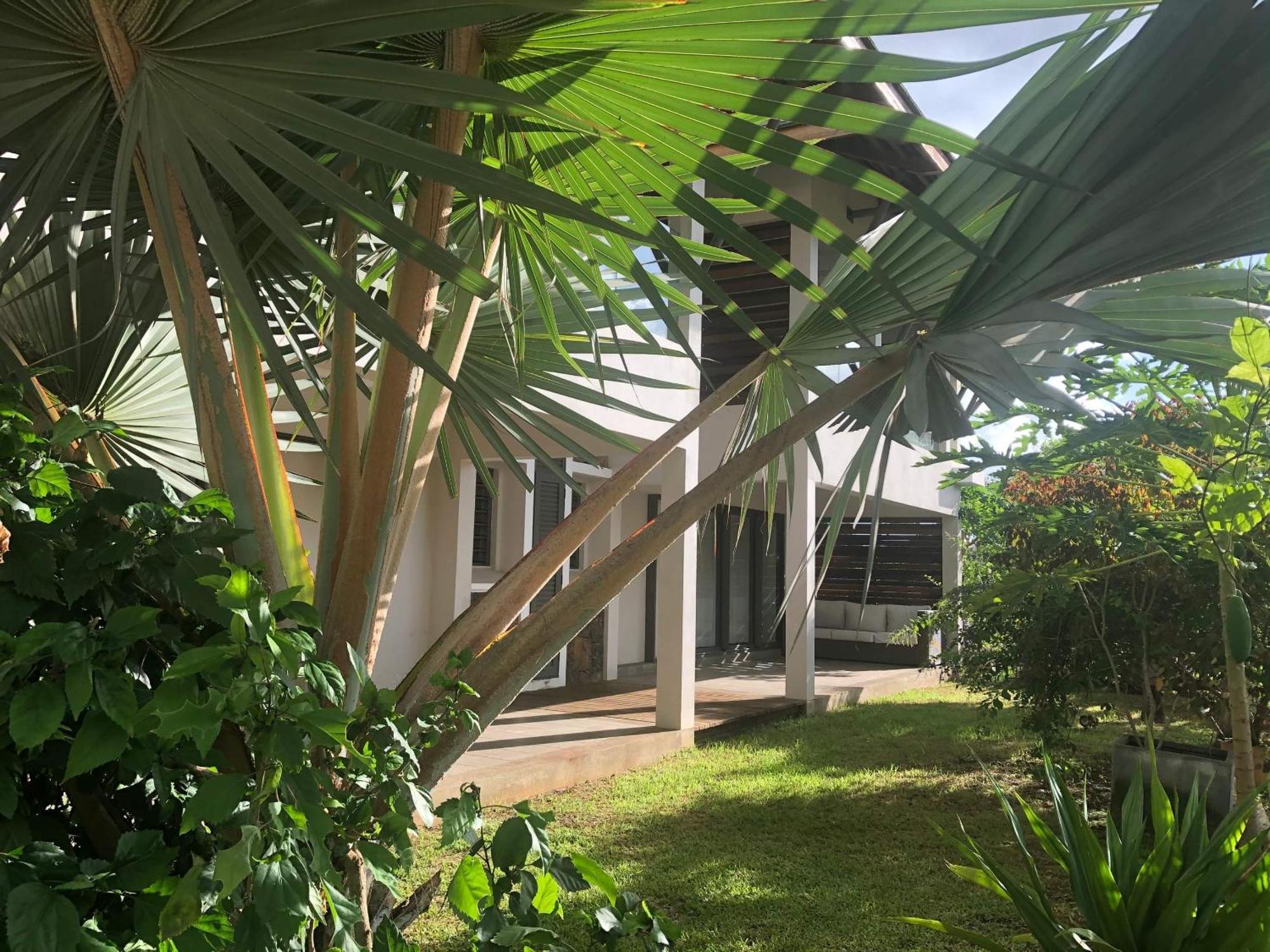 Au Coeur De Tamarin Entre Riviere Et Mer -Magnifique Appartement 3 Chambres- Calme Et Nature Exterior foto